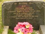 image of grave number 648018